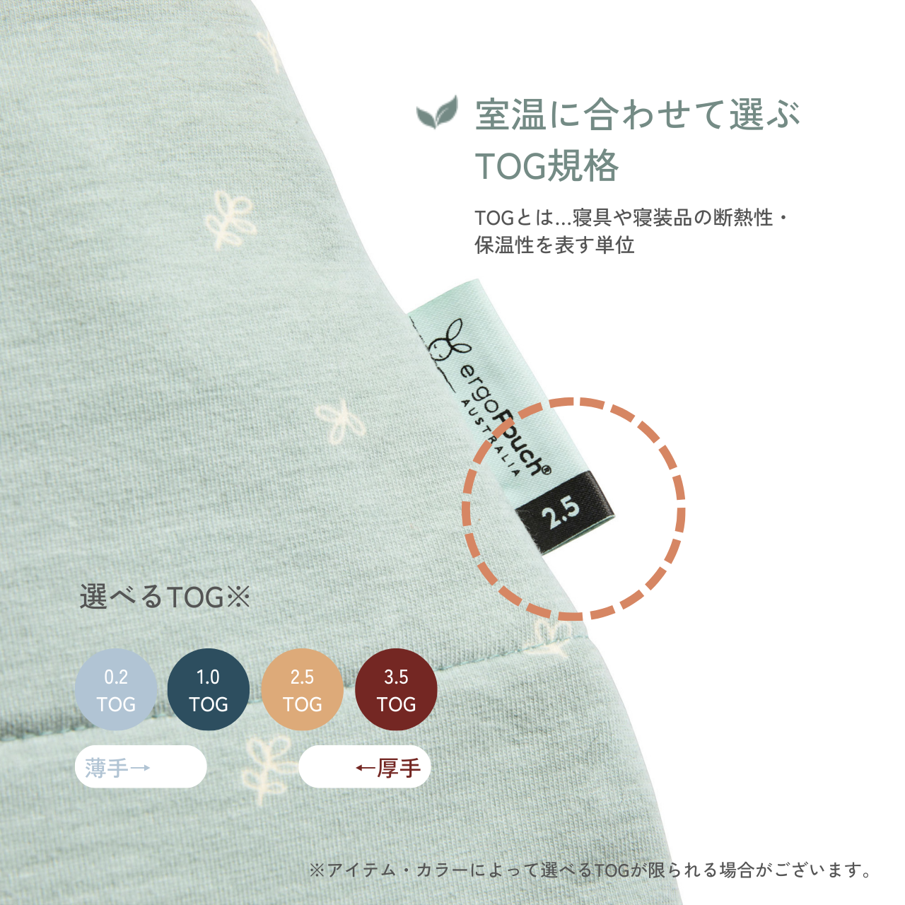 Cocoon Swaddle Bag 2.5TOG コクーンスワドルバッグ(新生児~/スワドル)