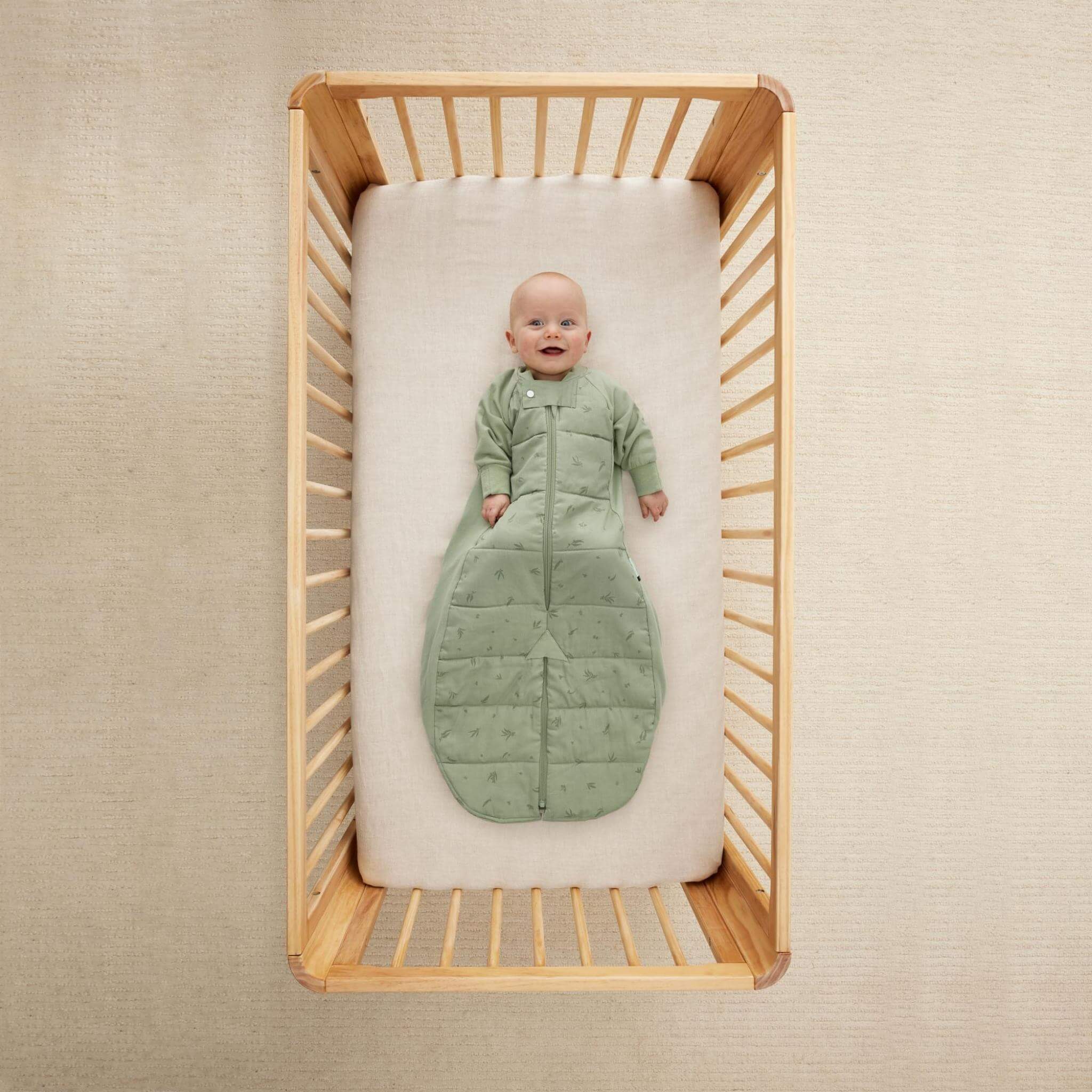 Sleep Suit Bag 2.5TOG スリープスーツバッグ(8ヶ月~/歩き始めのベビー&キッズ用スリーパー)