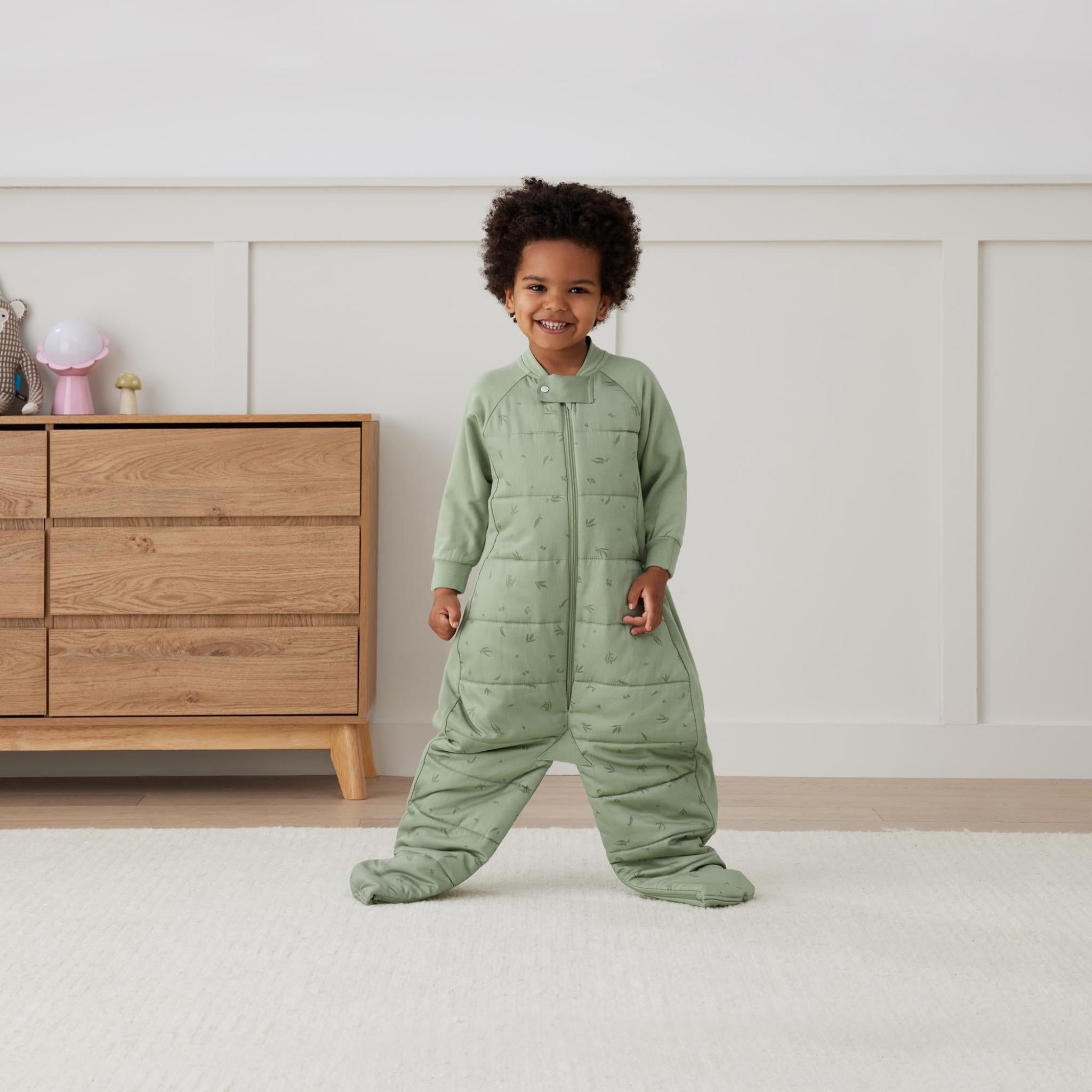 Sleep Suit Bag 2.5TOG スリープスーツバッグ(8ヶ月~/歩き始めのベビー&キッズ用スリーパー)