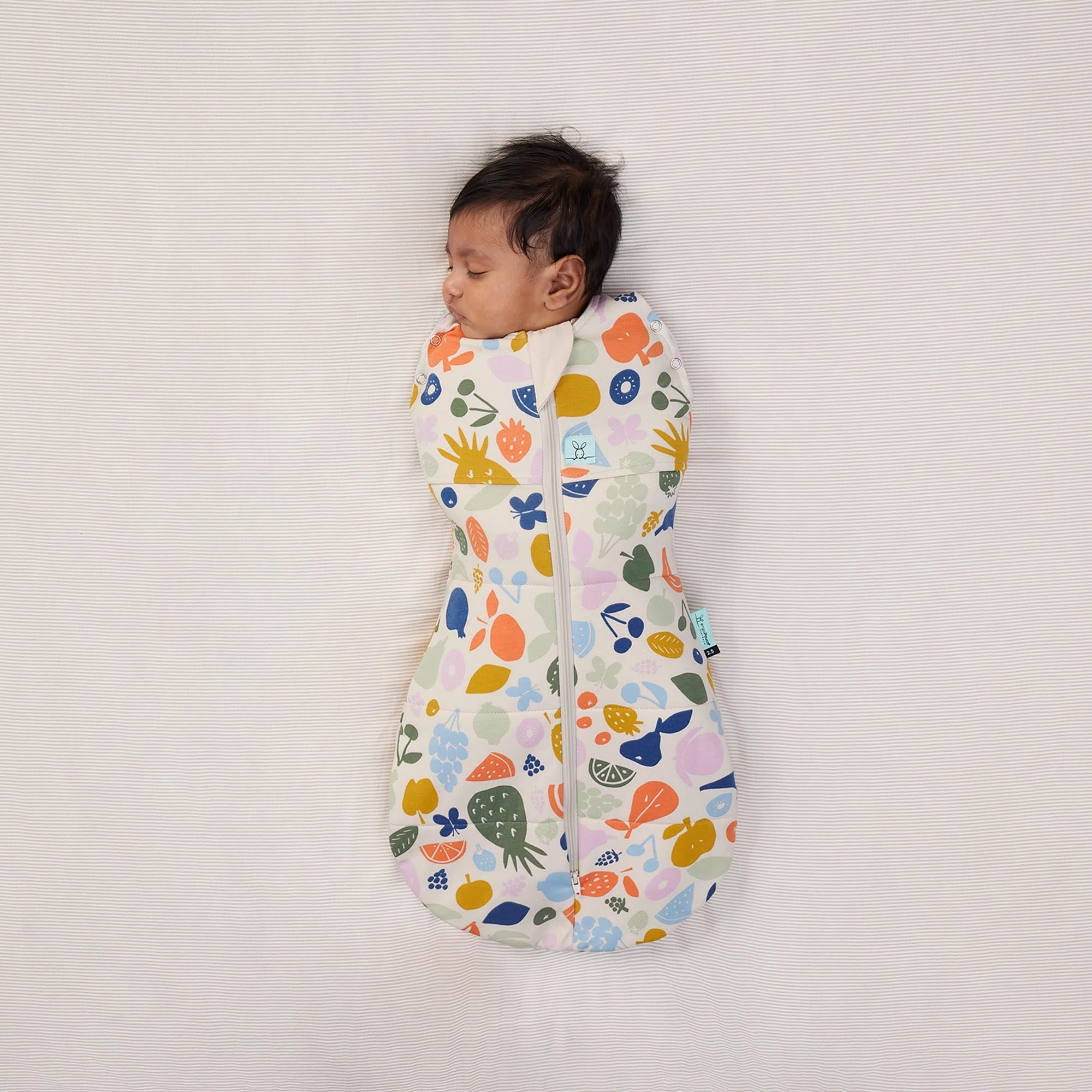 *数量限定NEW*＜冬向け＞Cocoon Swaddle Bag 2.5TOG コクーンスワドルバッグ（新生児～／スワドル）