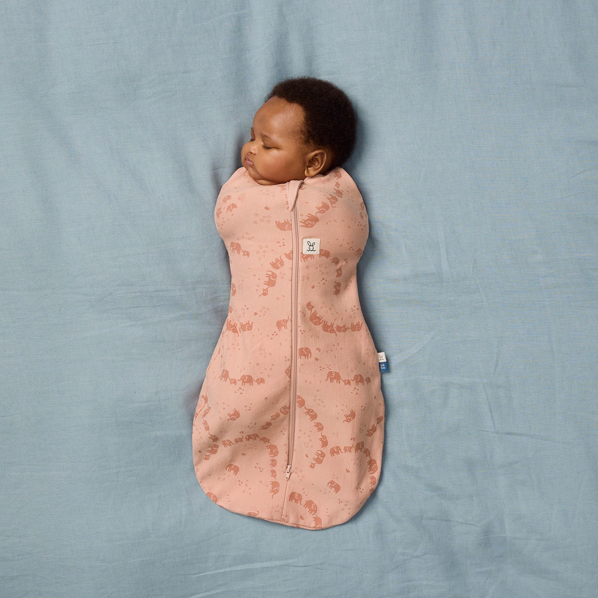 New】Cocoon Swaddle Bag 0.2 TOGコクーンスワドルバッグ（新生児