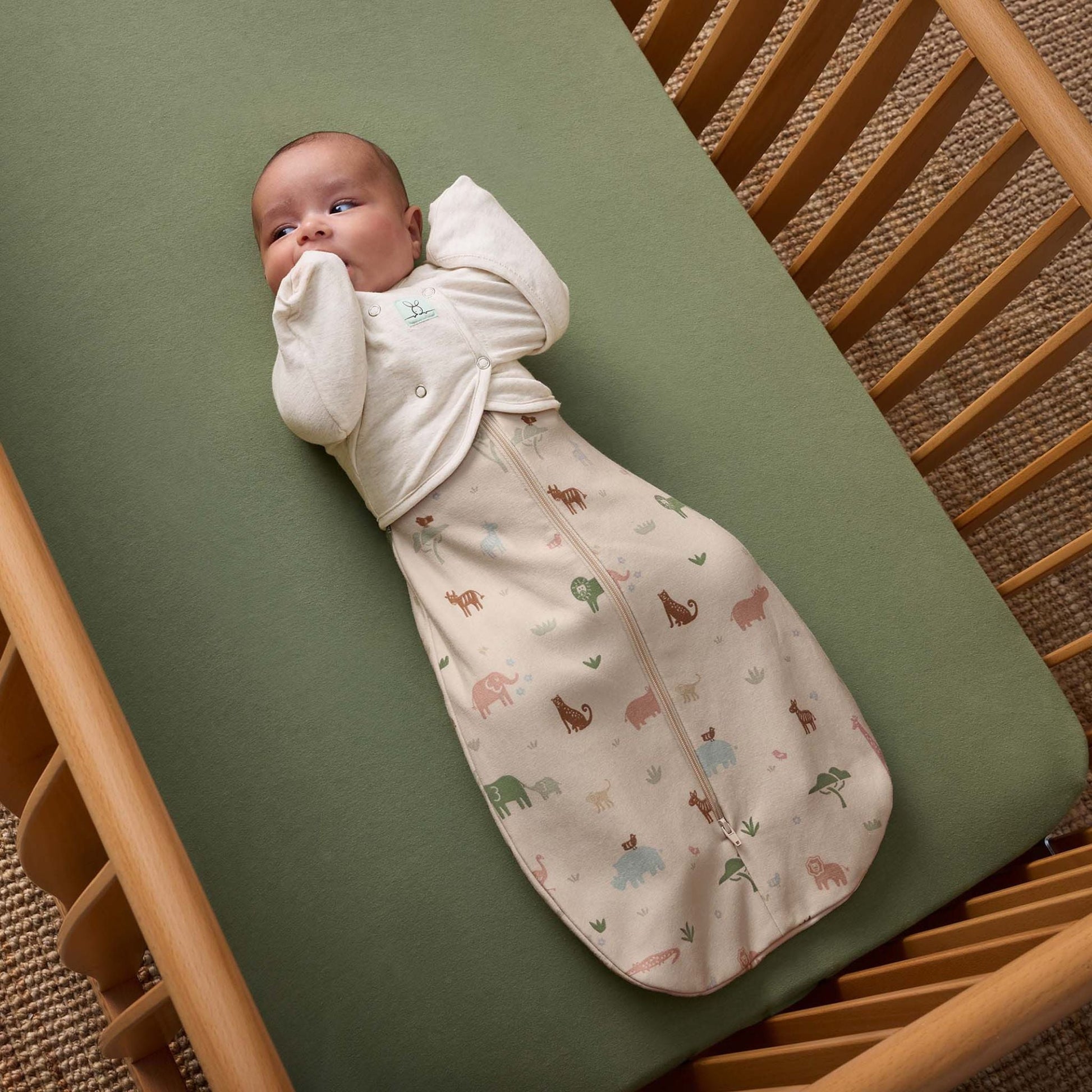 Cocoon Swaddle Bag 1.0TOG コクーンスワドルバッグ（新生児～／スワドル）