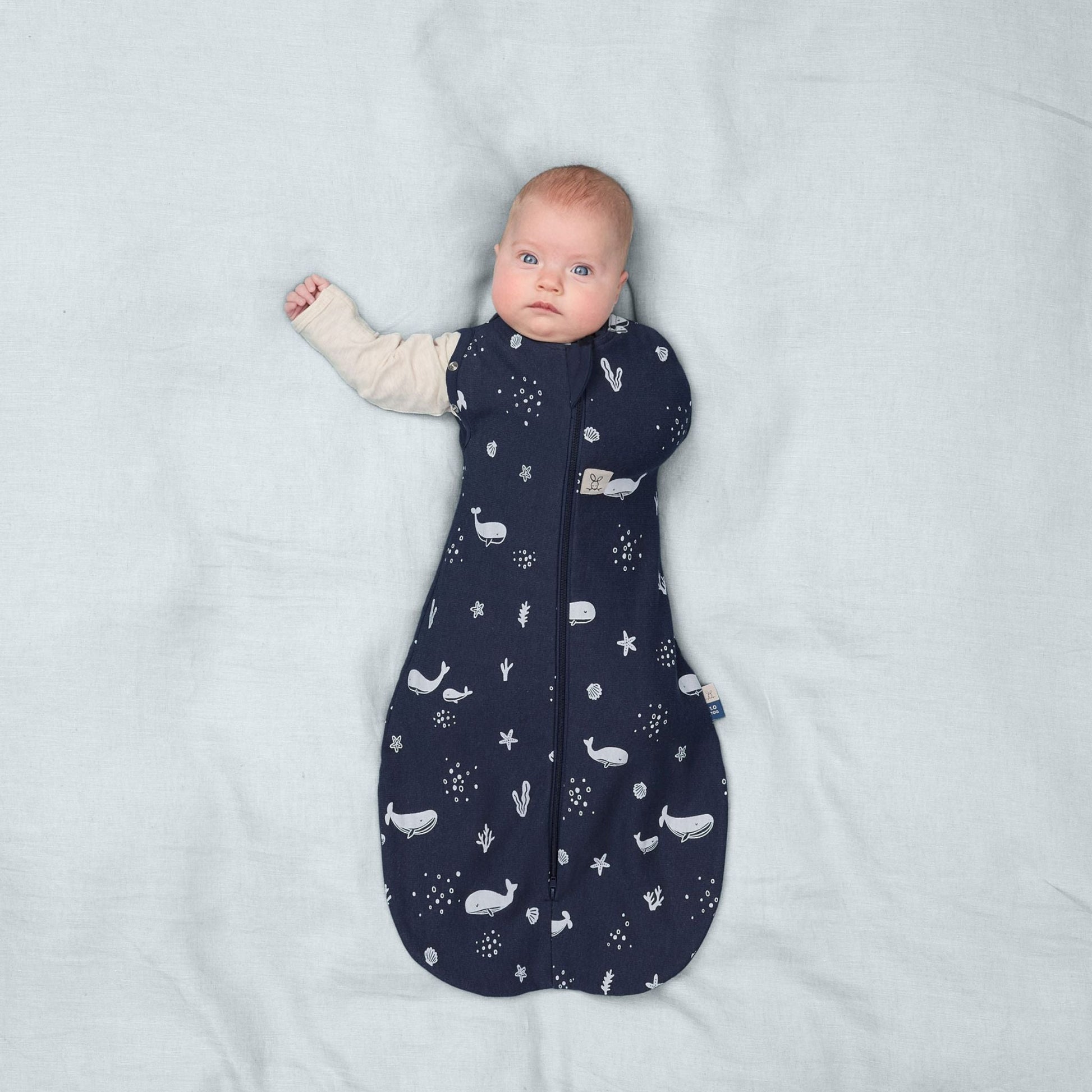 Cocoon Swaddle Bag 1.0TOG コクーンスワドルバッグ（新生児～／スワドル）