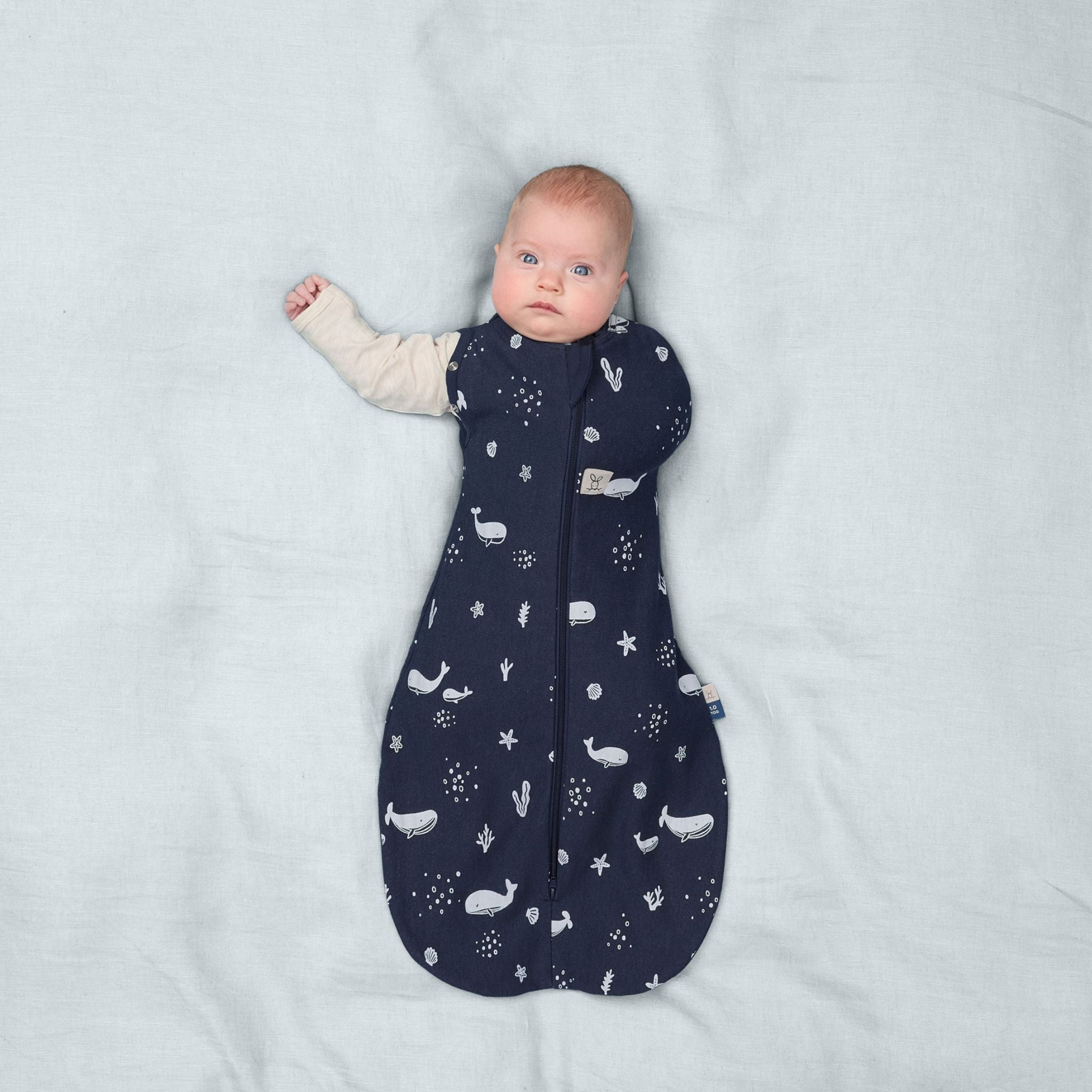 【発売開始前】Cocoon Swaddle Bag 1.0 TOGコクーンスワドルバッグ（新生児～／スワドル）