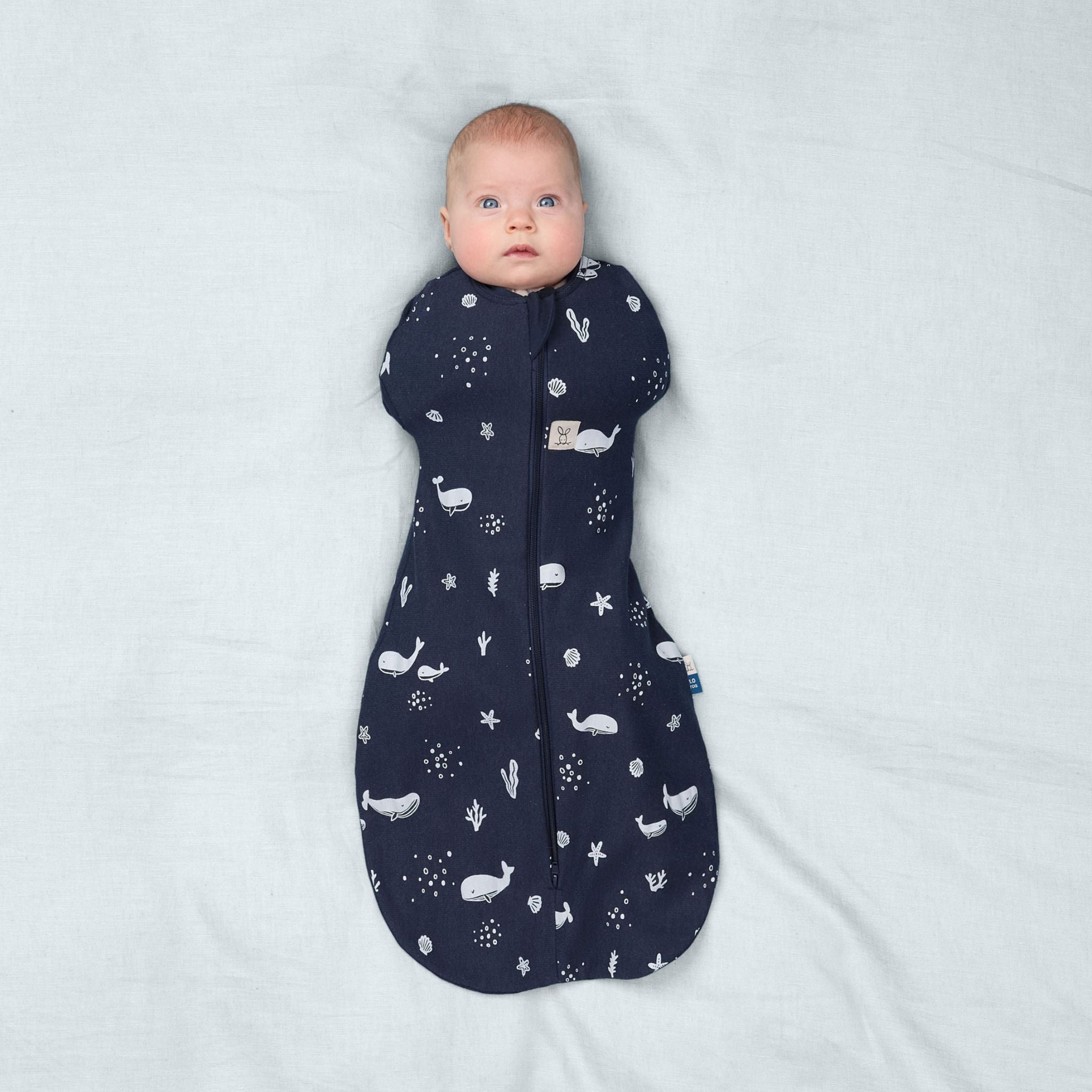 New】Cocoon Swaddle Bag 0.2 TOGコクーンスワドルバッグ（新生児
